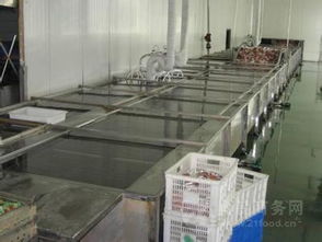 全自动海鲜解冻清洗机与肉类解冻机 鼎之信产品报价与功能介绍